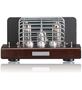 Amazon.co.jp: SOUNDWARRIOR 日本製 USB DAC 内蔵 真空管アンプ | SWL